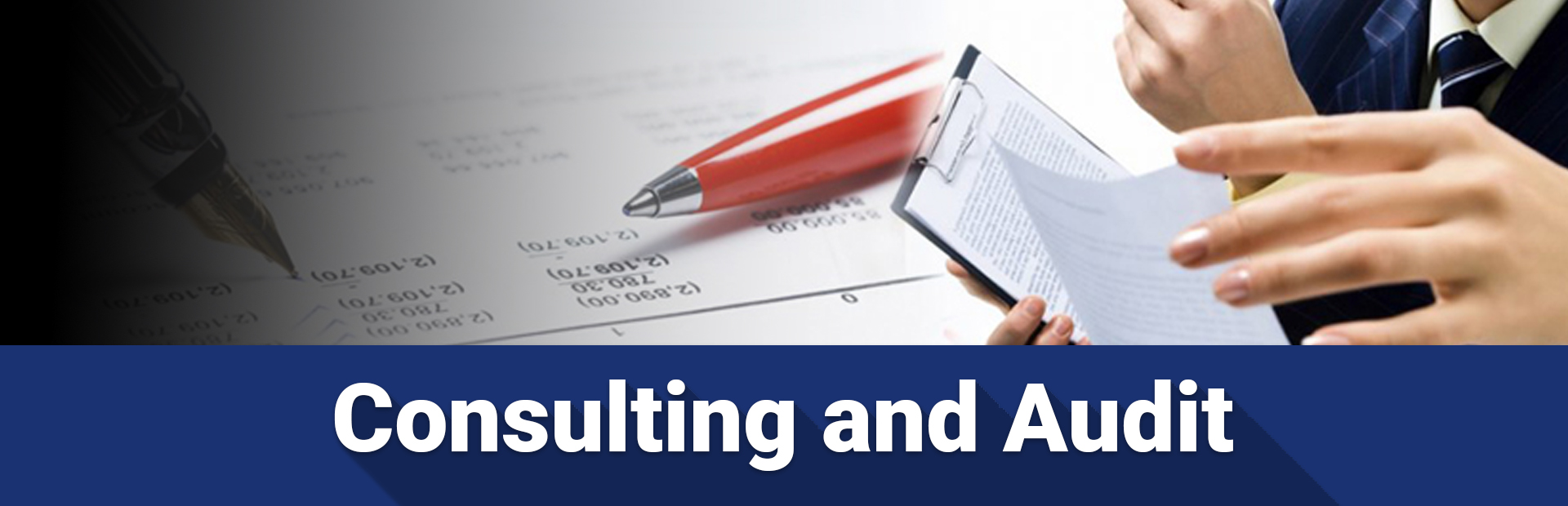 Consulting & Audit